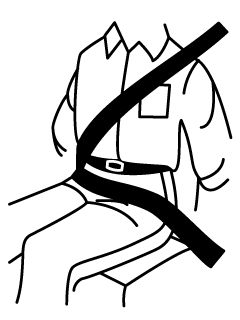 seatbelt